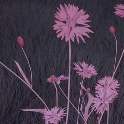 乐动体育网站官网版官方入口